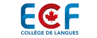 logo (200 x 80 px) (3)